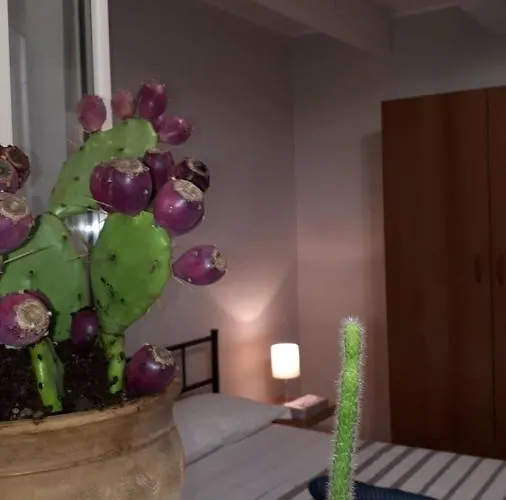 Casa Vacanze: Le Tre Stelle